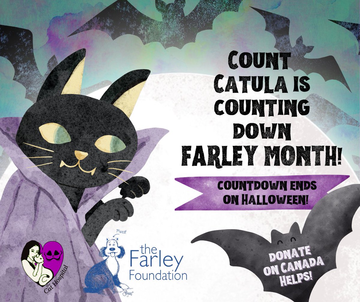 Count Catula is counting down to Meowloween! It's #FarleyMonth &amp; #BytownCatHospital is ready to help #cats! Can this vampurr count on your help? We are trick or treating to raise funds for .<a href="/Farleyfndation/">Farley Foundation</a> DONATE on CanadaHelps tinyurl.com/42kv2j35 
#Halloween #CatsofTwitter