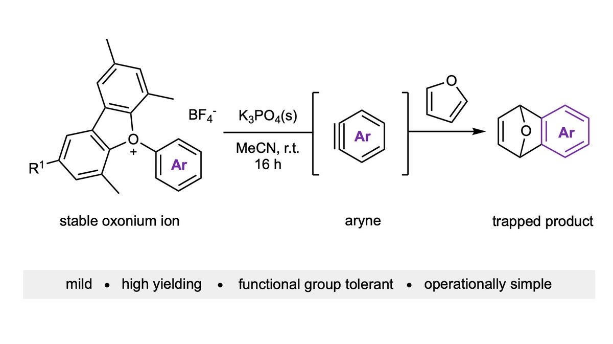 In <a href="/NatureSynthesis/">Nature Synthesis</a> today we describe a super-mild and functional group tolerant method to make arynes from triaryloxonium salts: go.nature.com/3RZPTNx Outstanding work from Owen, Maddie, Viorel and Sreenithya <a href="/bobbypaton/">Robert Paton</a> <a href="/OxfordSynthesis/">SBM CDT</a> @oxfordchemistry <a href="/csu_chemistry/">CSU Department of Chemistry</a>