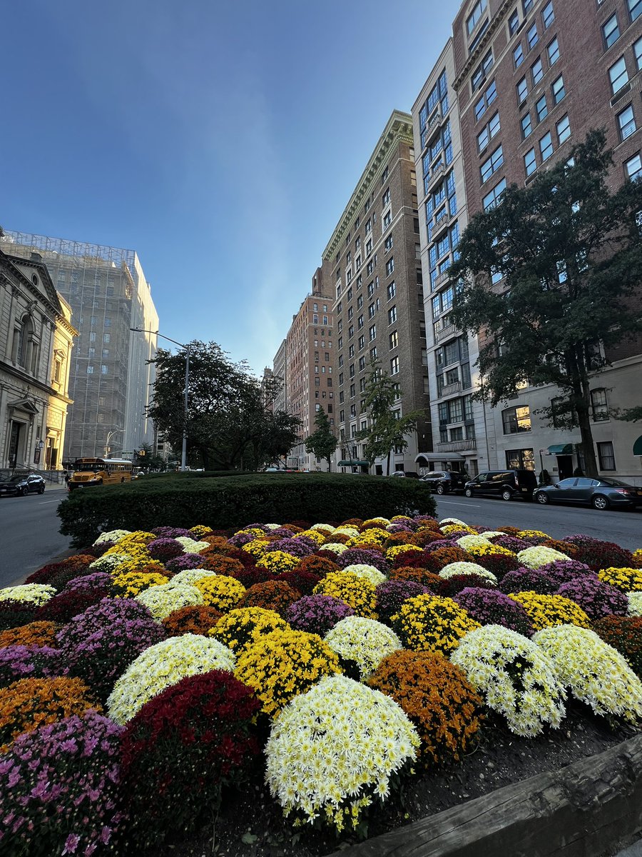 NYCRobyn's tweet photo. A little warm for me on this October day. I never let that stop me from walking & exploring. @uppereastsiteny looking like fall at least. Have you seen the Little Prince? #mynewyork #whyiwalk #NYC https://t.co/9ygCoc3sFm