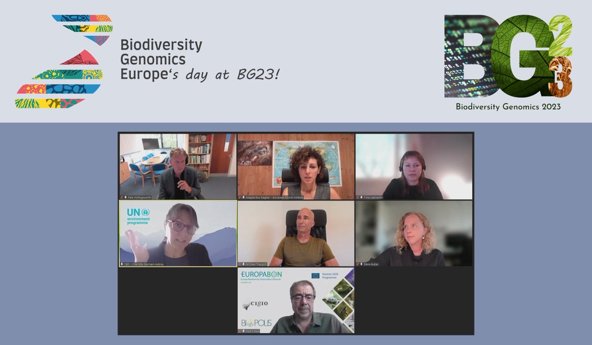 ♨️Live BGE's day at #BG23:

We are having a panel discussion exploring what we need to do to maximise the impact of major biodiversity genomic projects in meeting stakeholder needs. The panel is chaired by <a href="/HollingsworthPM/">Pete Hollingsworth</a> and includes a wide representation of expertise.🌐

#BG23