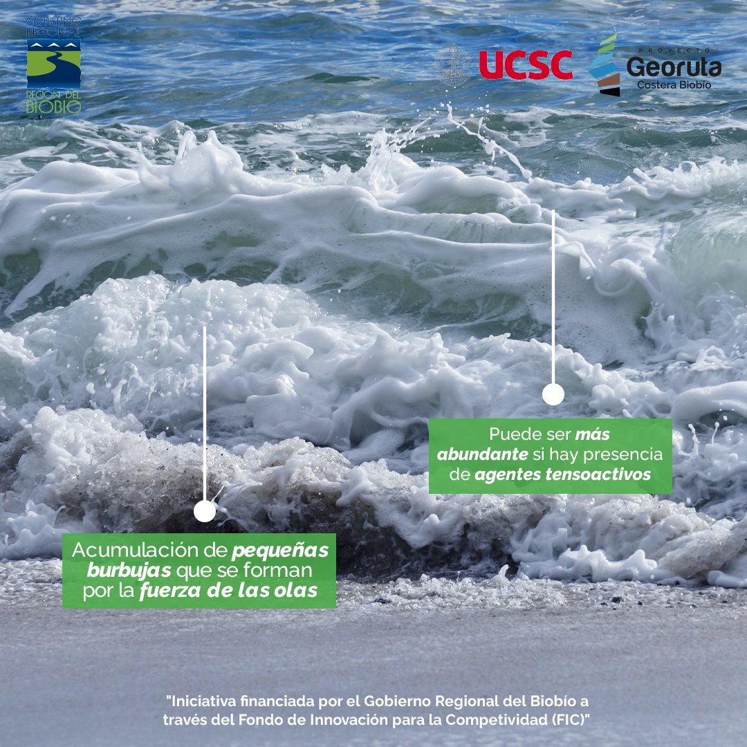 👀¿Te has fijado, cuando vas a la playa, en la espuma que se forma en la orilla?🌊 La espuma del #mar corresponde a la acumulación de una gran cantidad de burbujas que se forman por la fuerza de las #olas, que agitan el agua y proporcionan la energía para la mezcla agua-aire. 🌬