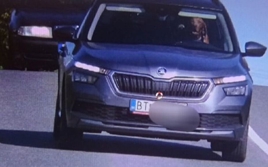 🇸🇰🐶🚙 INSOLITE | En #Slovaquie, un chien a été filmé en excès de vitesse au volant d’une voiture.

👉 Le propriétaire âgé de 31 ans s'est vu infliger une amende.