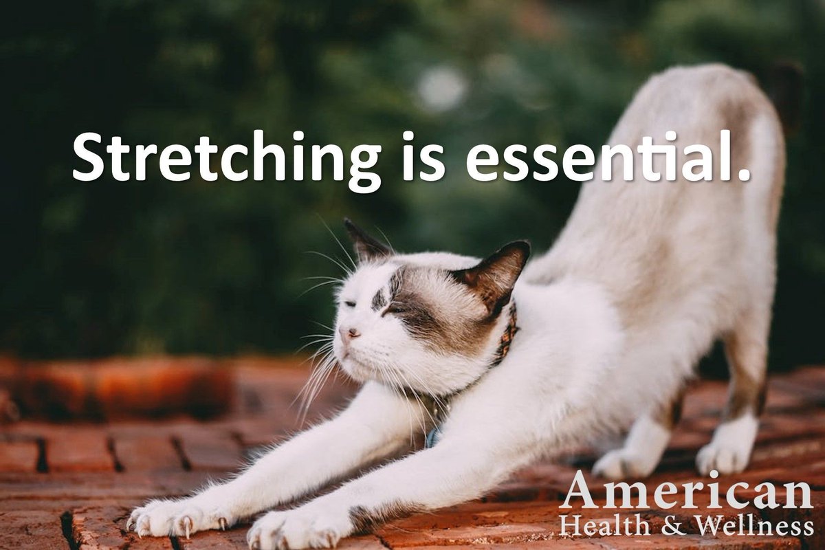 AmericanHWgroup's tweet photo. Flexibility training is an essential part of fitness &amp; health. Stretching can help reduce risk of injury, increase range of motion, improve muscular function, improve blood flow &amp; circulation, reduce pain &amp; stiffness &amp; so much more! Do not forget to #stretch! #MotivationMonday https://t.co/QmG2Zzr7nR