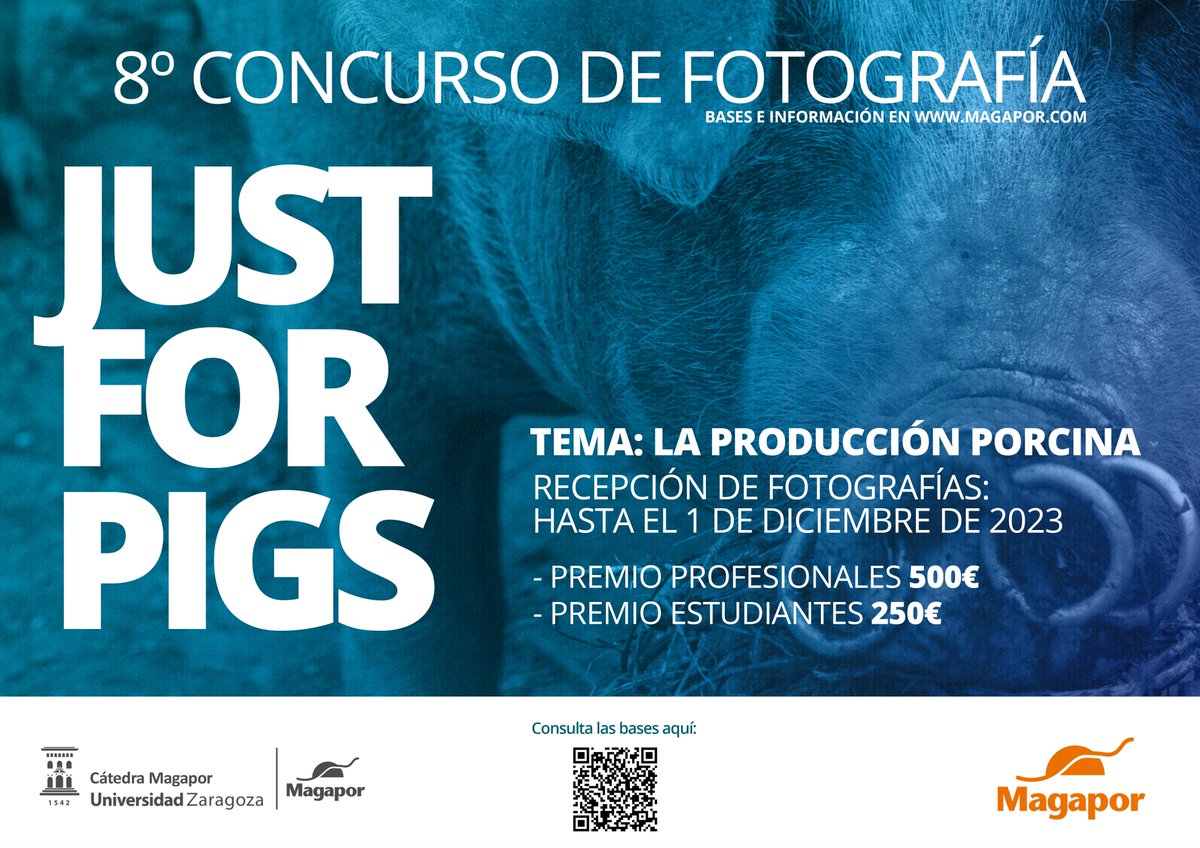 📷🐷 8º Concurso de fotografía. Un año más vuelve nuestro concurso de fotografía sobre producción porcina.

¡Estamos esperando vuestras fotografías! Para consultar las bases haz clic en el siguiente enlace:

goo.su/jdWhw5E

#concursofotografia #photocontest