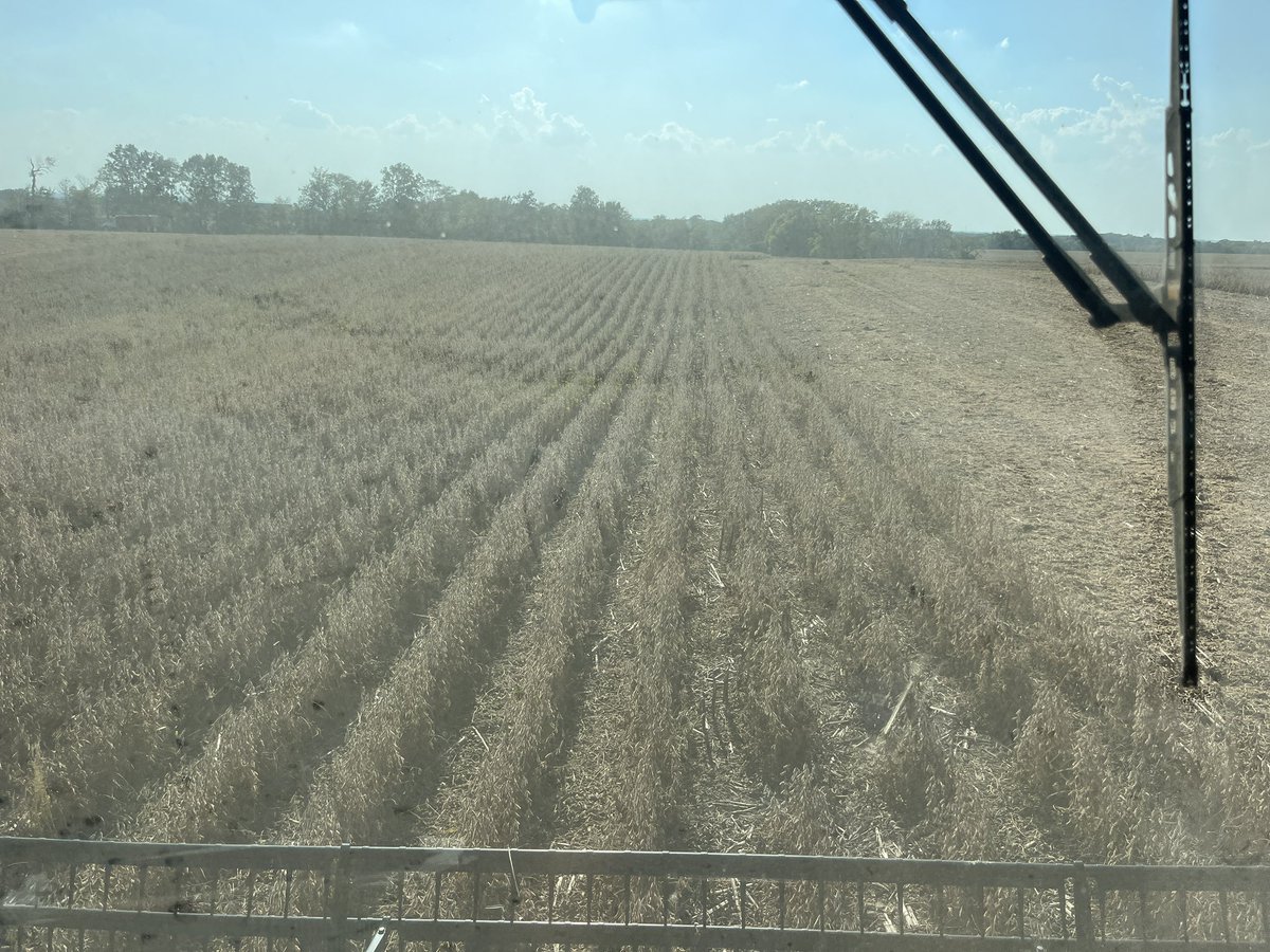 Charles Ellis tweet media