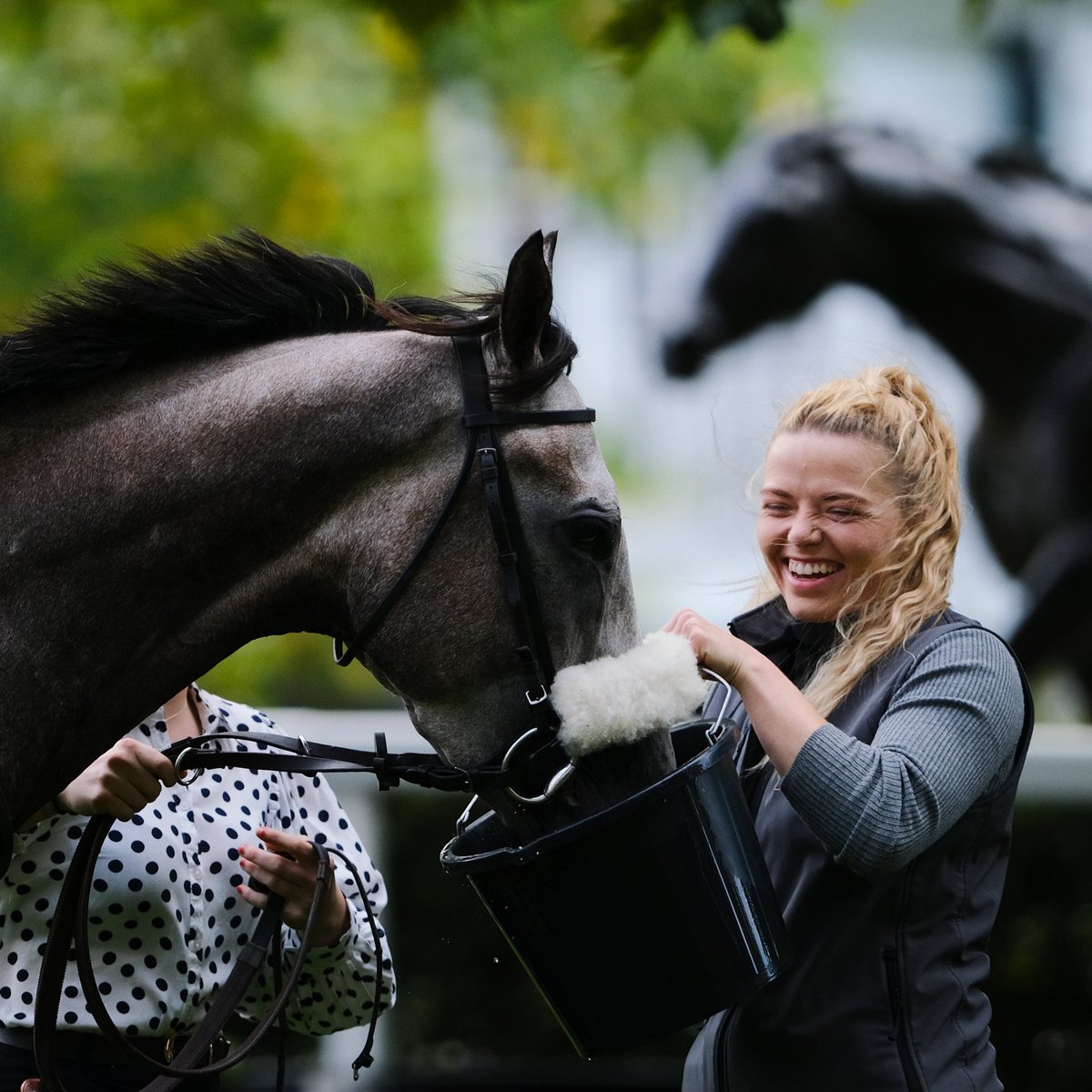 Ascot's tweet photo. 🚨 COMPETITION TIME 🚨

WIN x2 QUEEN ANNE ENCLOSURE TICKETS to the Autumn Racing Weekend!
📆  Saturday 7th October 2023

WHAT YOU HAVE TO DO:
❤️ LIKE this tweet
🔁 RT this tweet
🐴 FOLLOW @ascot

ENDS 04/10/2023 at 12:00 PM BST
Open to UK residents
Only 18+ https://t.co/oZSOpsgKFc
