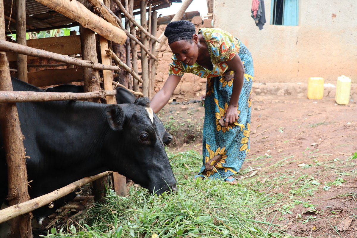 Oxfam In Rwanda (@oxfaminrwanda) on Twitter photo The HVC project doesn’t support smallholder farmers engaged in horticulture to improve their livelihoods only through increasing production but also through creation of off-farm jobs enhancing their resilience! <a href="/EUinRW/">EU Delegation to Rwanda</a>🇪🇺 <a href="/RwandaFinance/">Ministry of Finance & Economic Planning</a> <a href="/OxfamIreland/">Oxfam Ireland</a> #unlockhorticulturepotential The HVC project doesn’t support smallholder farmers engaged in horticulture to improve their livelihoods only through increasing production but also through creation of off-farm jobs enhancing their resilience! <a href="/EUinRW/">EU Delegation to Rwanda</a>🇪🇺 <a href="/RwandaFinance/">Ministry of Finance & Economic Planning</a> <a href="/OxfamIreland/">Oxfam Ireland</a> #unlockhorticulturepotential