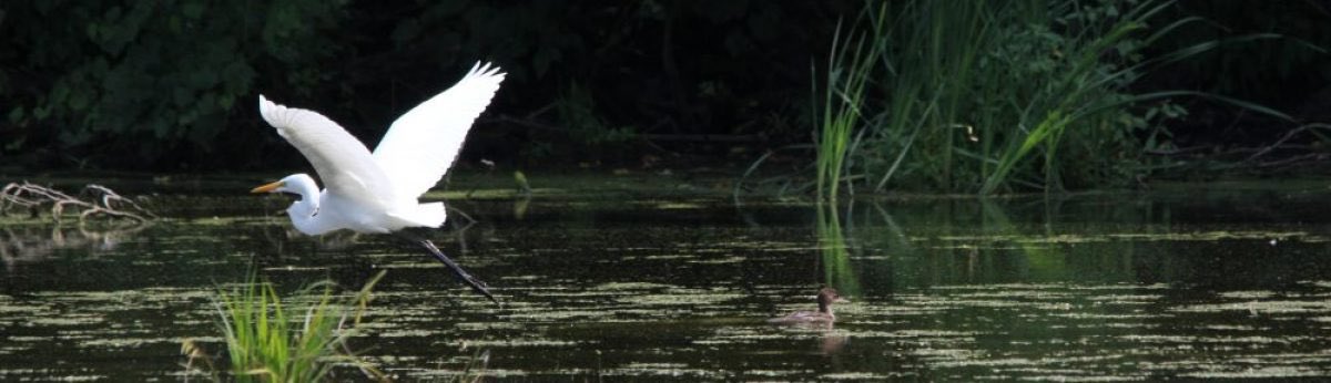 alpha_djitteye's tweet photo. « Déteste toujours ce qui est mal, mais ne déteste pas son auteur. Hais le péché de tout ton coeur, mais pardonne et aies pitié du pêcheur. Critique le discours, mais respecte l'orateur. 

Notre travail est d'éradiquer la maladie, et non le patient. »

Imam Shafiεi https://t.co/DzVqSW1aAp