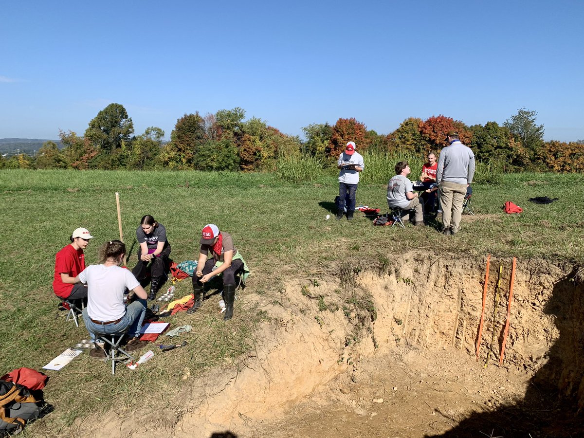 M.C. Ricker 🐲 tweet media