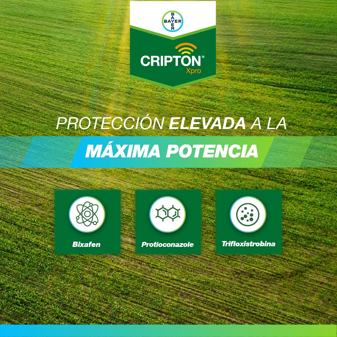 DosCaciquesSRL's tweet photo. Protección elevada a la máxima potencia con #CRIPTON @bayeragro
#cultivos #control #seguridad #somosdoscaciques https://t.co/TLhYfLjq7Q