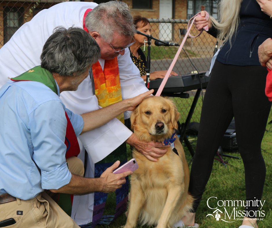 cminiagara's tweet photo. Our 2nd Annual Animal Blessing went wonderfully this past Saturday! Pastor Mark and Father John gave out blessings to dogs, rabbits &amp; horses too! 

#compassioninaction #blessingoftheanimals https://t.co/dxOYwBqy3X