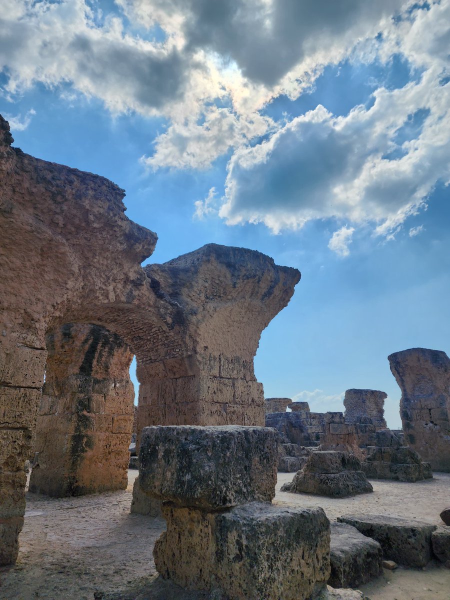 Inscrit au #PatrimoineMondial de l'#UNESCO depuis 1979, le site archéologique de #Carthage fut un empire commercial majeur en Méditerranée qui tint tête à Rome, mais qui fut finalement détruit en 146 av. J.-C. Une seconde Carthage romaine surgit sur ses ruines. 🏛️✨

#Tunisie