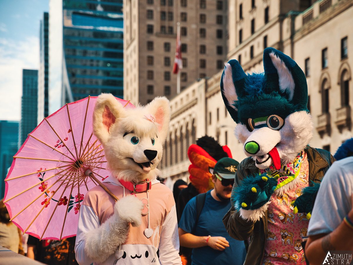 A nice stroll in Toronto on Sunday

📁: flickr.com/gp/azimuth_ast…
🐾: furtrack.com/user/AzimuthAs…