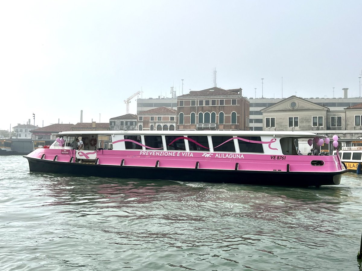 Parte oggi in occasione del mese della prevenzione del #tumorealseno il #Vaporettorosa ,uno studio medico mobile itinerante.

⛴️Navigherà ogni giorno in un luogo diverso del <a href="/comunevenezia/">Comune di Venezia</a> ,al suo interno sarà possibile fare una visita senologica con un medico della breast unit.