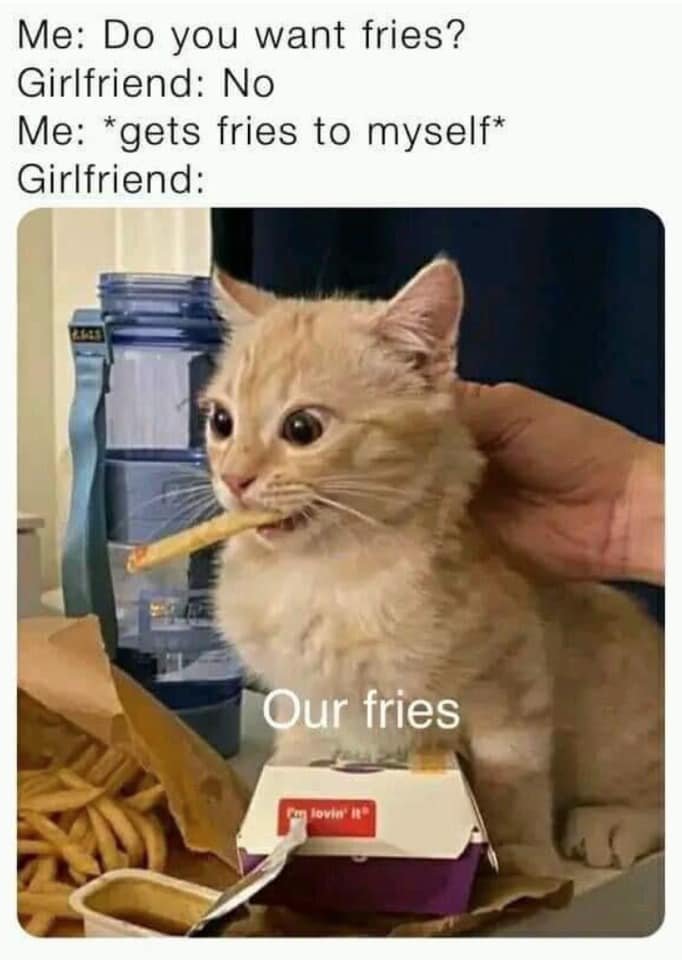 WholesomeMeme's tweet photo. https://t.co/Mshh1ohggC