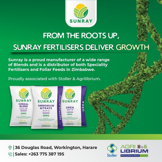 I am looking for corporates keen to assist their employees get fertilizer at flexible terms and better prices. Get in touch with me on 0775342394. <a href="/basera_john/">John Basera</a> <a href="/ChadMhako/">Chad</a> <a href="/DeltaCorpZim/">Delta Corporation Limited Zimbabwe</a> <a href="/zimplats/">Zimplats</a> <a href="/ZimpapersAJ/">Zimpapers Agriculture Journal</a> <a href="/baba_nyenyedzi/">Tinashe</a> <a href="/PenielCropMastr/">Peniel</a> <a href="/MoLAFWRD_Zim/">MinofLands,Agric,Fisheries,Water&Rural Development</a> <a href="/AMAofficial_zim/">Agricultural Marketing Authority</a>