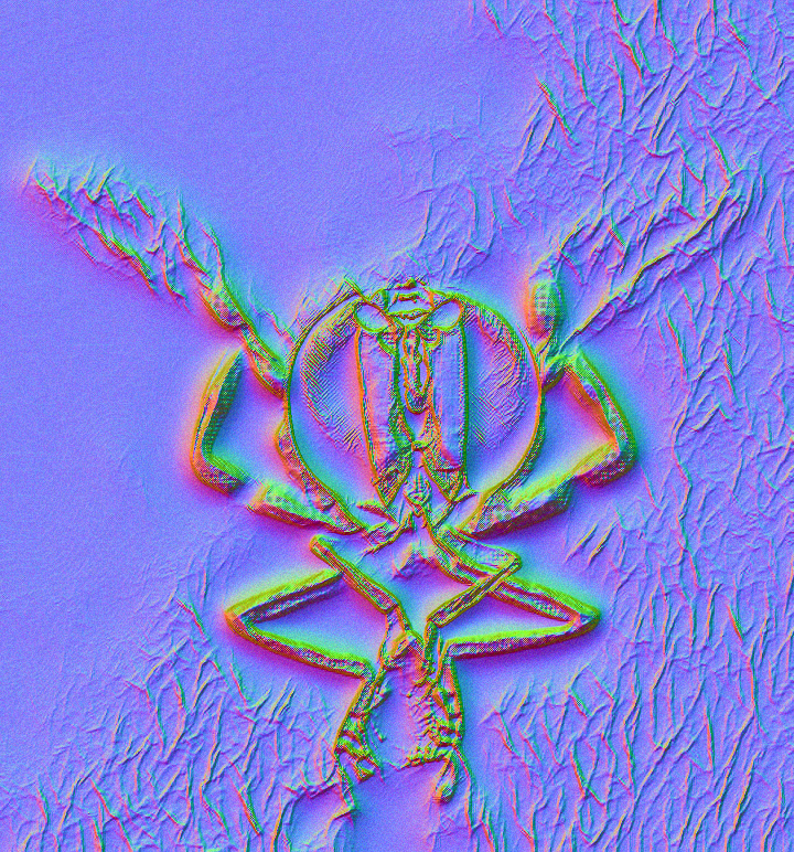 ArtMaps_NFT's tweet photo. Do you like insects? https://t.co/O4w8t8FxcN