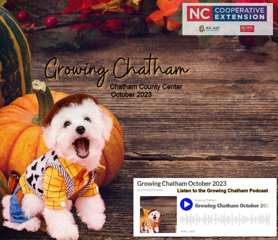 ChathamCoopExt's tweet photo. The October 2023 Growing Chatham Newsletter is here! No need to worry about any ghoulish surprises – it’s all good, no tricks! So, sit back, relax, and enjoy your pumpkin spice latte while you read the latest edition. https://t.co/0fEpRqcCBF https://t.co/5v2MS0KMHX