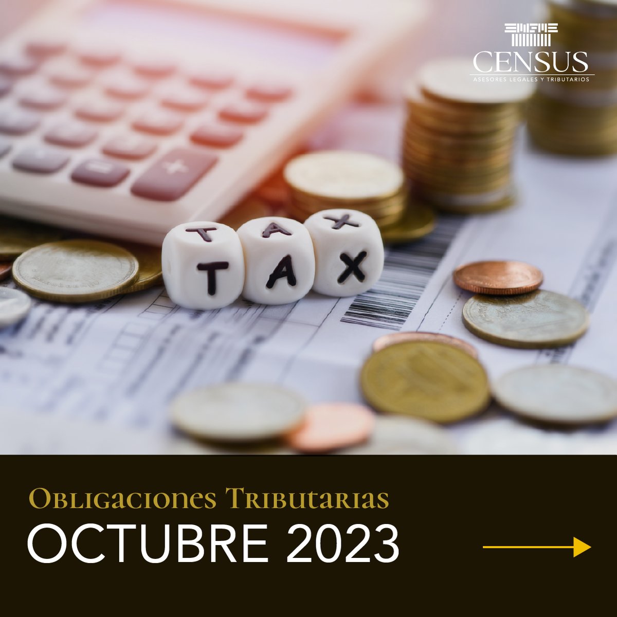 CensusEc's tweet photo. #CensusInforma | Te ofrecemos una recopilación de las #ObligacionesTributarias para el régimen general y al #RIMPE que deben ser cumplidas en octubre. Te recordamos cumplir con estas obligaciones para evitar posibles sanciones y multas.
#AsesoríaTributaria #Impuestos #SRI 📊💼 https://t.co/pYo3ZqFGGf