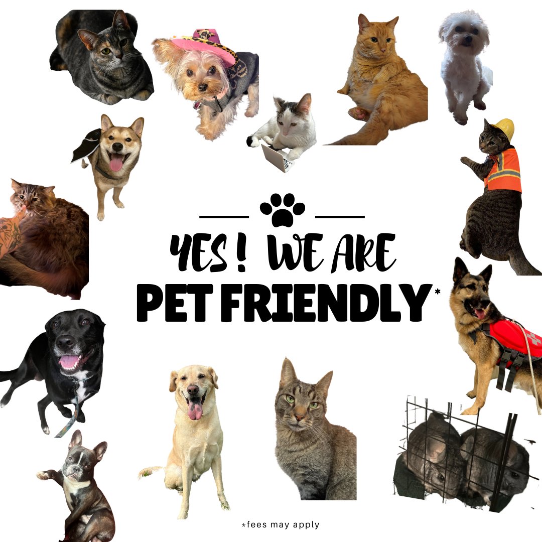 Bridgeview Apartments tweet media