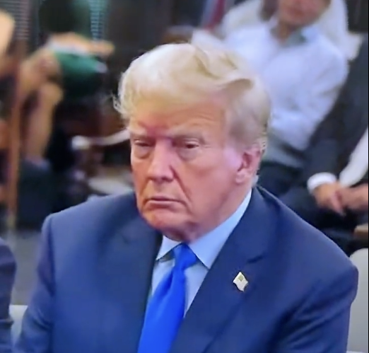 Mary L Trump tweet media