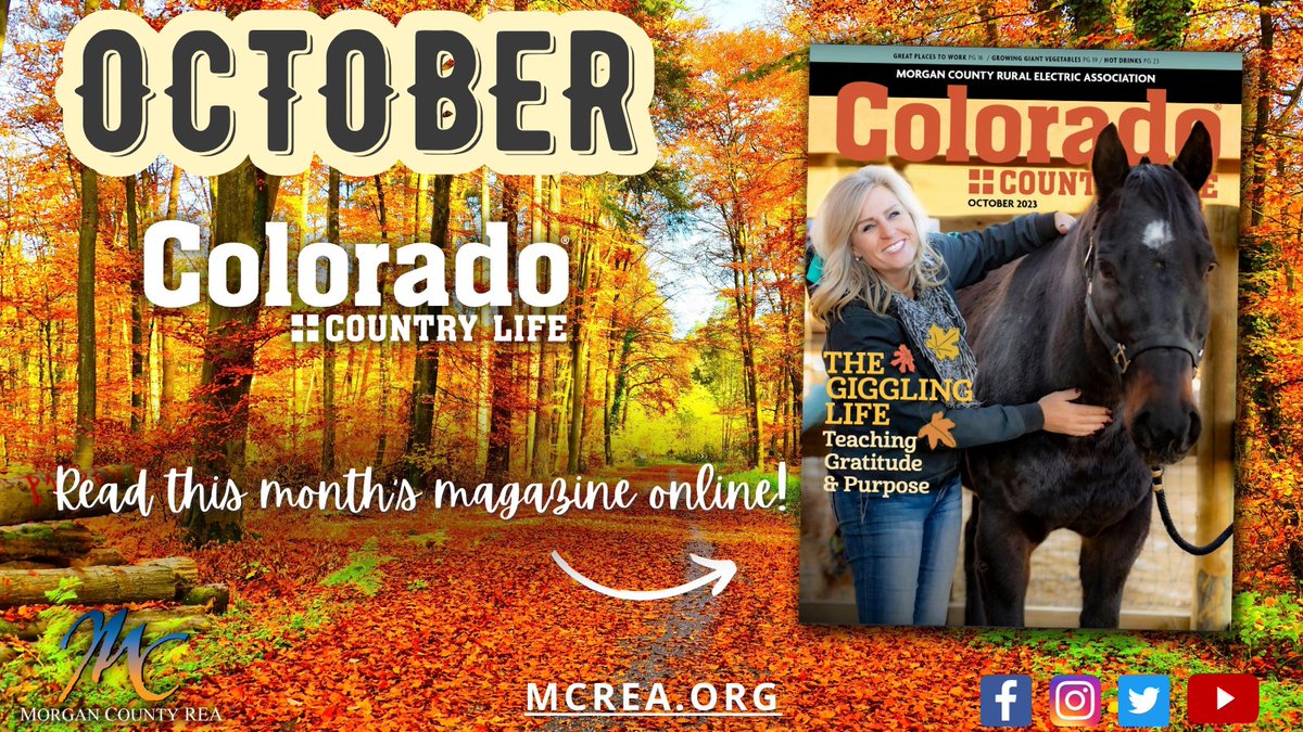 Morgan County REA tweet media