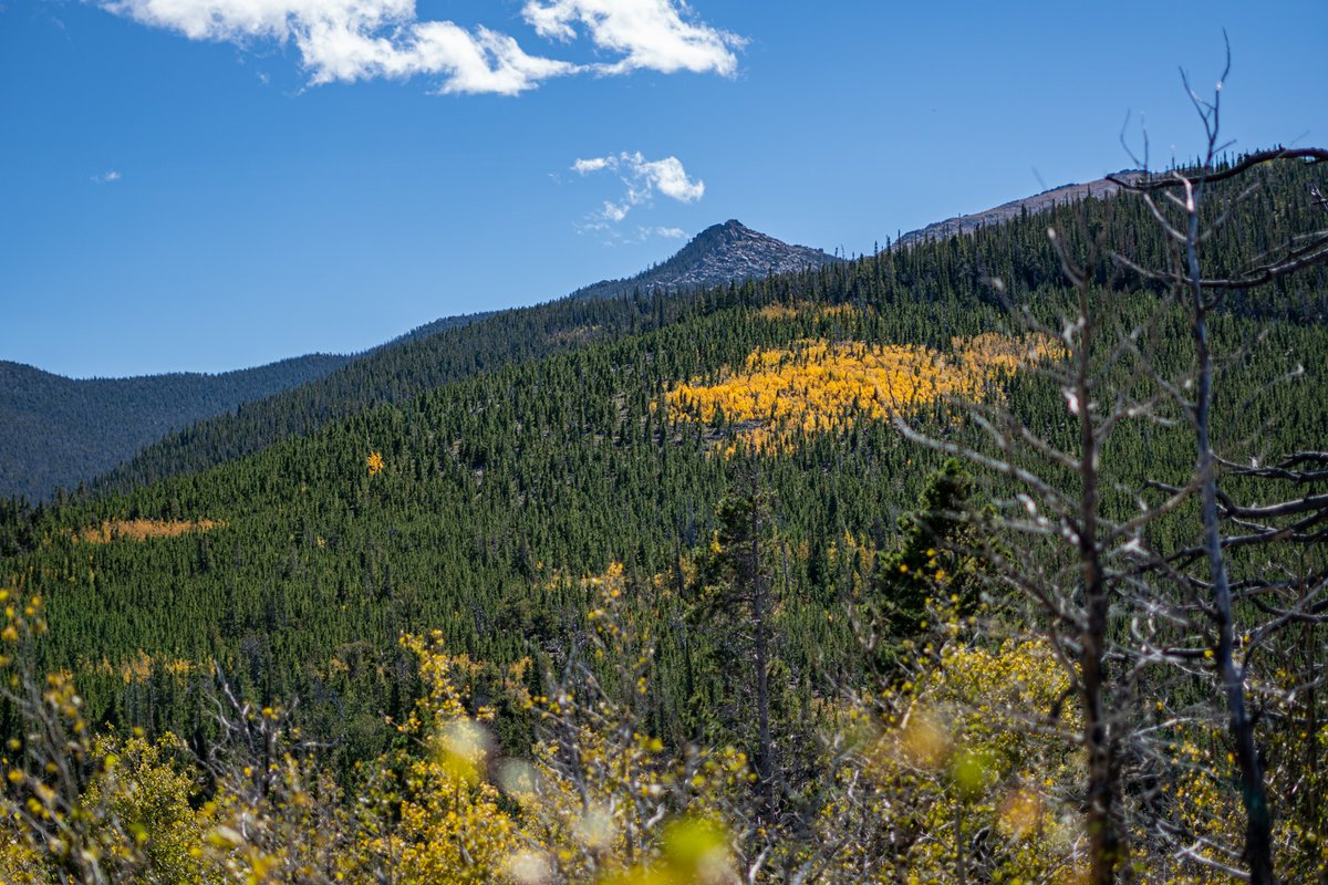 Human Dimensions of NR tweet media