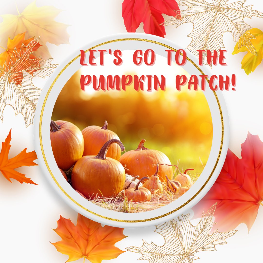 Usher in KC fall-time festivities with pumpkin patch season and tons of other outstanding outdoor activities.
1l.ink/XCVFPNH
