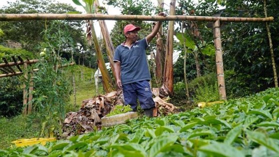 The 🇺🇸 is proud to support <a href="/HI_UnitedStates/">Humanity & Inclusion U.S.</a> to help eradicate landmines in Colombia 🇨🇴, which allows farmers to cultivate crops such as coffee. ☕️#InternationalCoffeeDay <a href="/StateDeptPM/">Political-Military Affairs, US Dept of State</a>