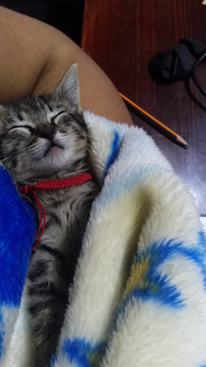 Mi niña ❤️