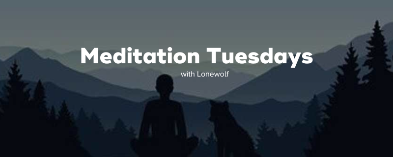Allies, please allow me to introduce @wolfmeditate, who will be leading weekly meditation sessions starting this week in our Discord!

Sessions will take place every Tuesday at 9am HKT | 9pm ET.
