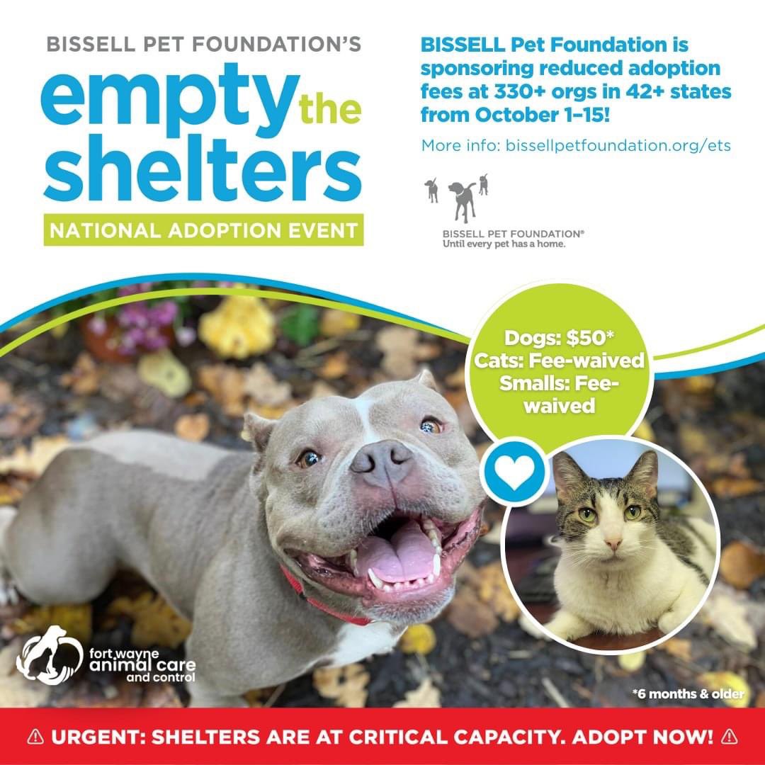 FWAnimalControl's tweet image. Help us #EmptytheShelters October 1-15! 💚💙 

Thank you @BISSELLPets for giving us the opportunity to offer reduced adoption fees for our community! 

Visit FWACC.org to view adoptable animals.