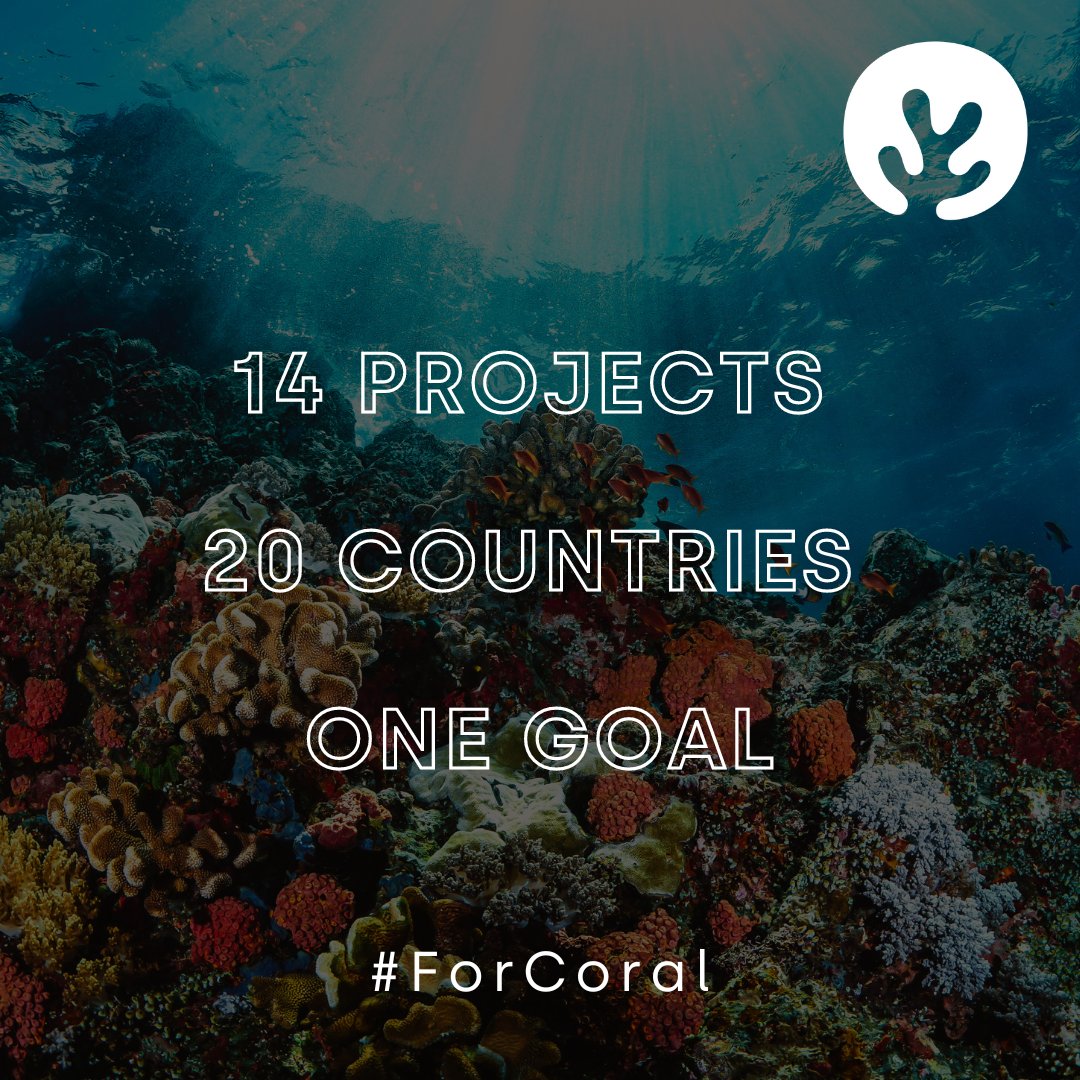 📣 This #WorldHabitatDay we’re proud to announce our 2022 Coral Accelerator Program award winners!

🌏 After receiving applications from acclaimed research teams all over the world, our evaluation committee selected 14 projects, including scientists &amp; experts from 20 countries.