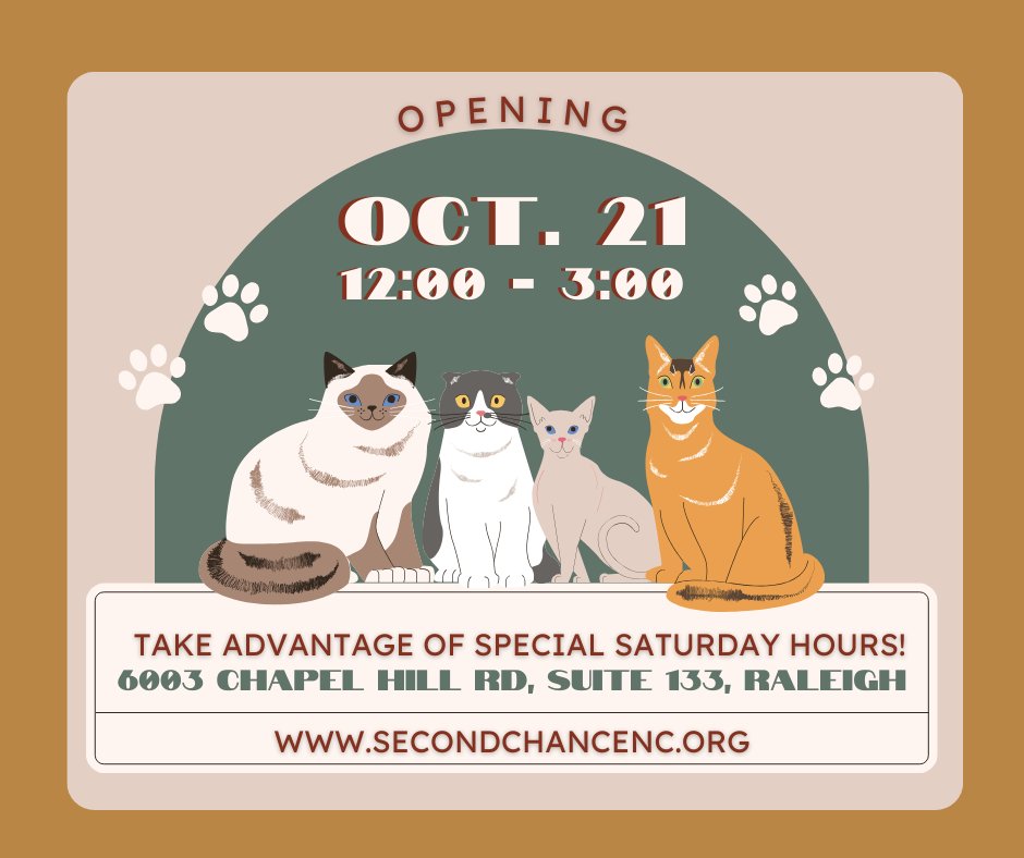 🐱 Another #Caturday is coming! We'll be opening up beyond our usual hours on October 21, welcoming visitors for kitties between 12:00 and 3:00. Save the date! 🧡 #raleigh #carync #animalrescue #adoptablecats #adoptablekittens #adoptdontshop
