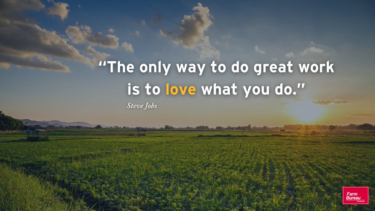 Love what you do today! #MotivationMonday