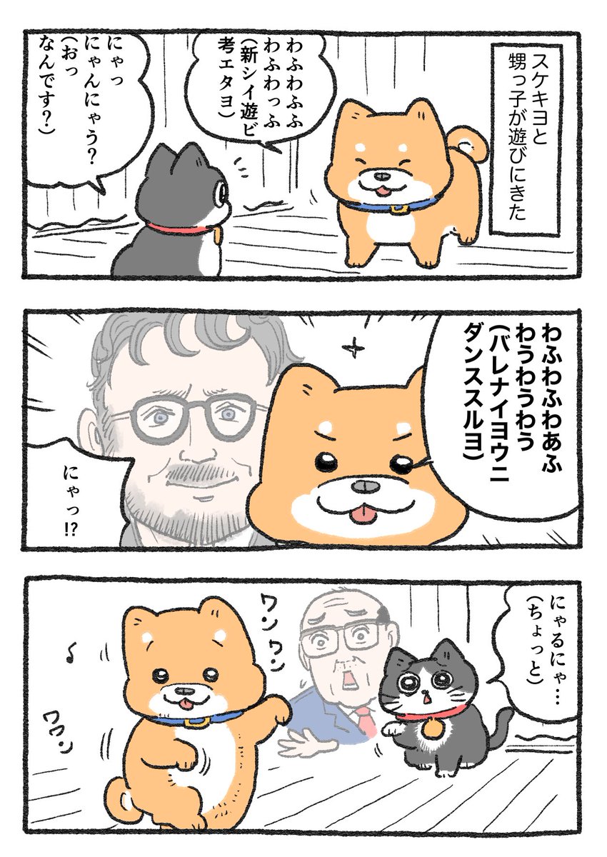 ねこおじ様 ねこに転生したおじさん。その775