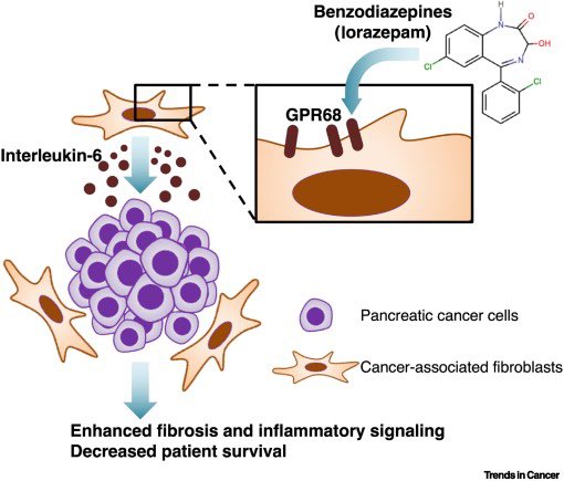 Anxiolytics cause anxiety in #PancreaticCancer 
cell.com/trends/cancer/…
By <a href="/YangChenPhD/">Yang Chen</a> (huge thanks for the heavy lift here!) in <a href="/trendscancer/">Trends in Cancer</a> 
A commentary on @mike_feigin <a href="/abby_cornwell_/">Abby Cornwell</a> recent paper in <a href="/CCR_AACR/">Clinical Cancer Research</a> 
aacrjournals.org/clincancerres/…