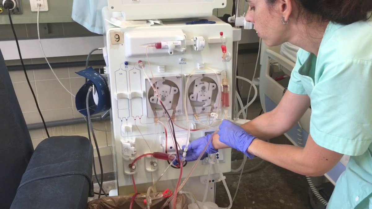 “Trabajar de enfermera en un servicio que en otro es lo mismo” 

- Dalas Review, gran pensador de la época.