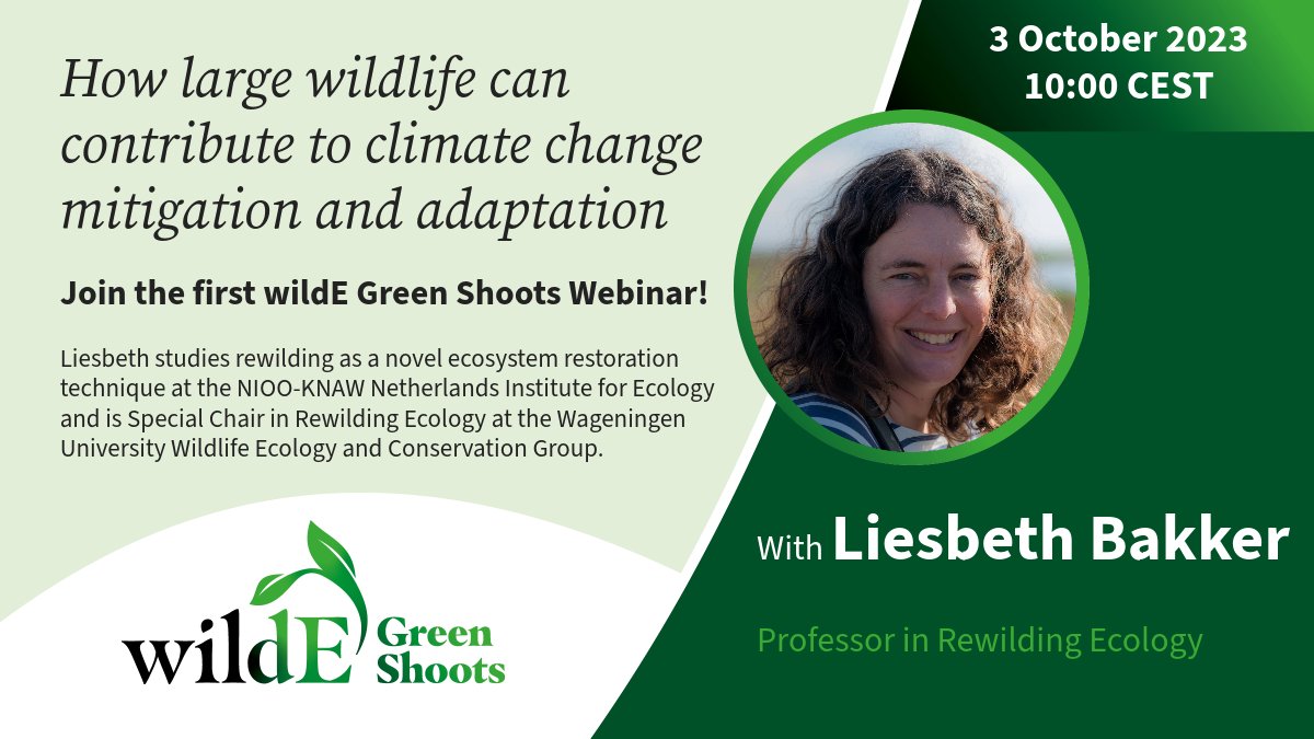 Nacho Villar (@nachomanvillar) on Twitter photo Tomorrow 3 October 10 am CEST Liesbeth Bakker <a href="/niooknaw/">NL Inst of Ecology</a> <a href="/WECatWUR/">Wildlife Ecology & Conservation Group at WUR</a> and me will discuss on the role large wildlife 🐒🐎🐘🐆🦦in #climatechange🌡☀️ mitigation and adaptation. Join us at the 1st Green Shoots <a href="/wildE_Europe/">wildE</a> #rewilding webinar
Register at: us02web.zoom.us/webinar/regist… Tomorrow 3 October 10 am CEST Liesbeth Bakker <a href="/niooknaw/">NL Inst of Ecology</a> <a href="/WECatWUR/">Wildlife Ecology & Conservation Group at WUR</a> and me will discuss on the role large wildlife 🐒🐎🐘🐆🦦in #climatechange🌡☀️ mitigation and adaptation. Join us at the 1st Green Shoots <a href="/wildE_Europe/">wildE</a> #rewilding webinar
Register at: us02web.zoom.us/webinar/regist…