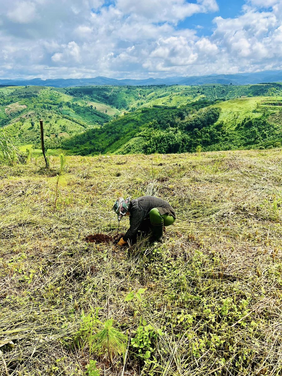 Green_Beli's tweet photo. 🌿 From nurturing land to greening barren hills, Green Beli is ushering in a novel investment approach. Beyond users' benefits, it's about driving positive societal and environmental change.

🔑 Real World Asset + Social Impact + DeFi = Green Beli https://t.co/CkAzl3SjPT