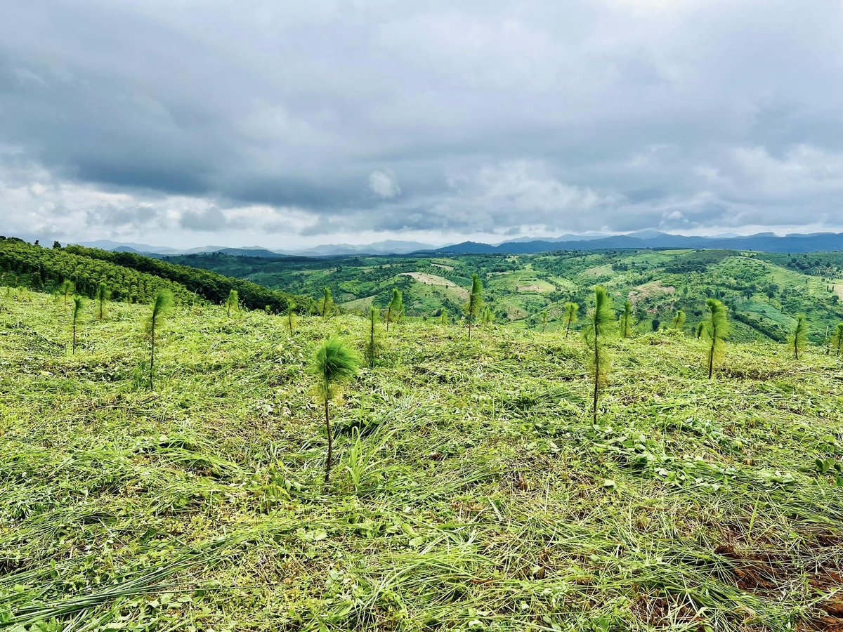 Green_Beli's tweet photo. 🌿 From nurturing land to greening barren hills, Green Beli is ushering in a novel investment approach. Beyond users' benefits, it's about driving positive societal and environmental change.

🔑 Real World Asset + Social Impact + DeFi = Green Beli https://t.co/CkAzl3SjPT