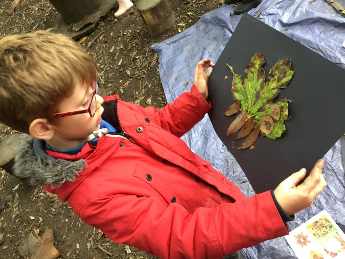 lordderamores's tweet photo. Year 2 continued their collage work in the forest, with leaves, this afternoon. #LordDForest #LordDArt 🍁🍃 https://t.co/QDsbTqFSyJ