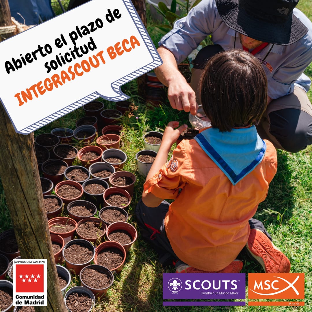 ABIERTA convocatoria INTEGRASCOUT de becas para ayudar a la participación de niños, niñas y adolescentes en los grupos scouts. ‼️⚜️

#becascout #construirunmundomejor #escultismo #educacionparalavida #scout #scoutsdemadridmsc #scoutscatólicos