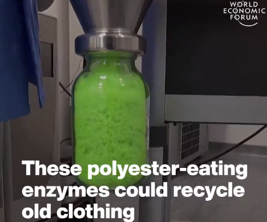 andreswar327's tweet photo. Courtesy of World Economy Forum (@WorldEconomyF ) 
#Enzymes could help us to recycle polyester.

Learn more about 'plastic-eating' enzymes: https://t.co/IL63AEDtRi

"University of Portsmouth" https://t.co/oSwYr5OiTf
