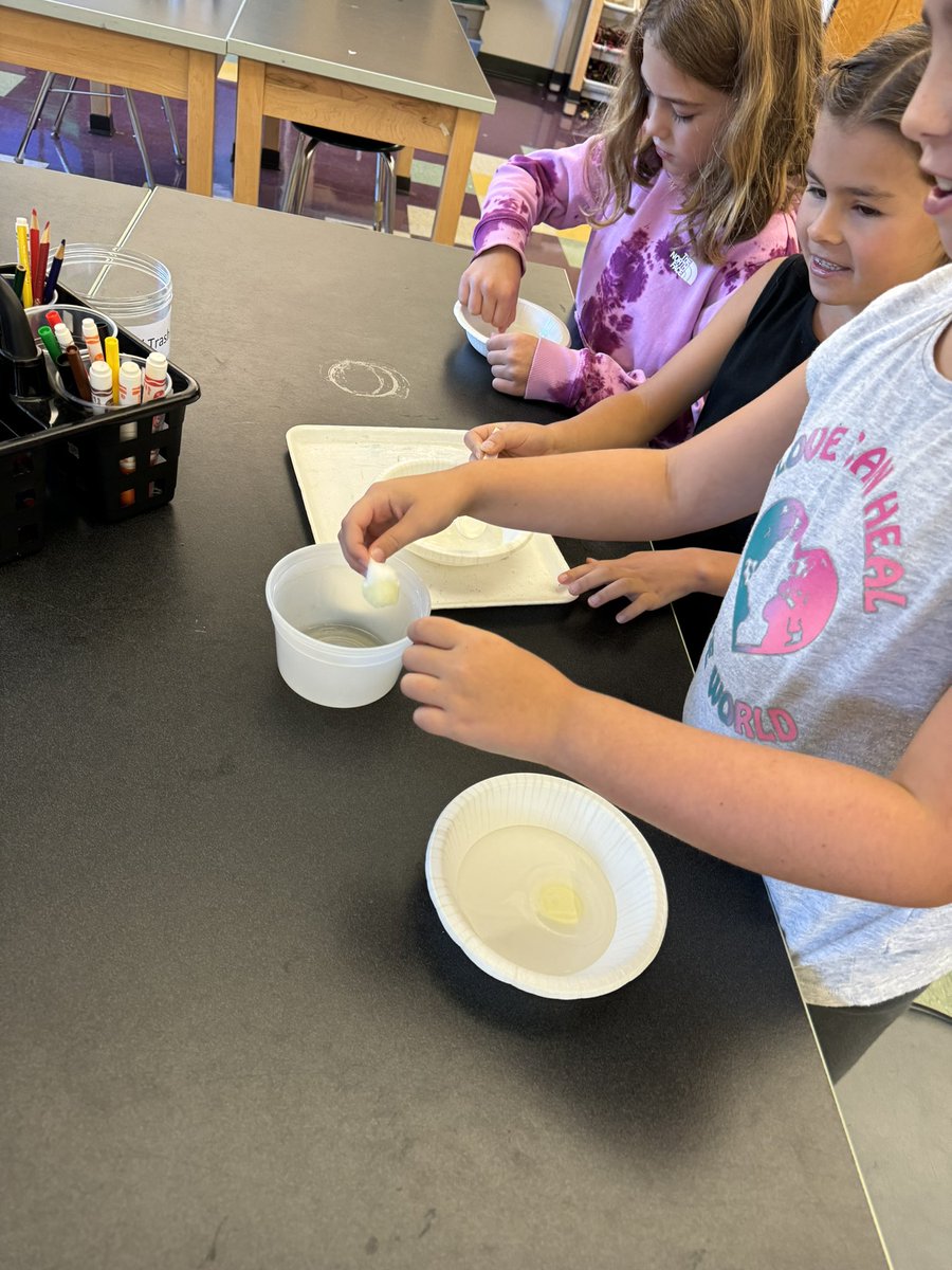 Jennifer Perrotti tweet media