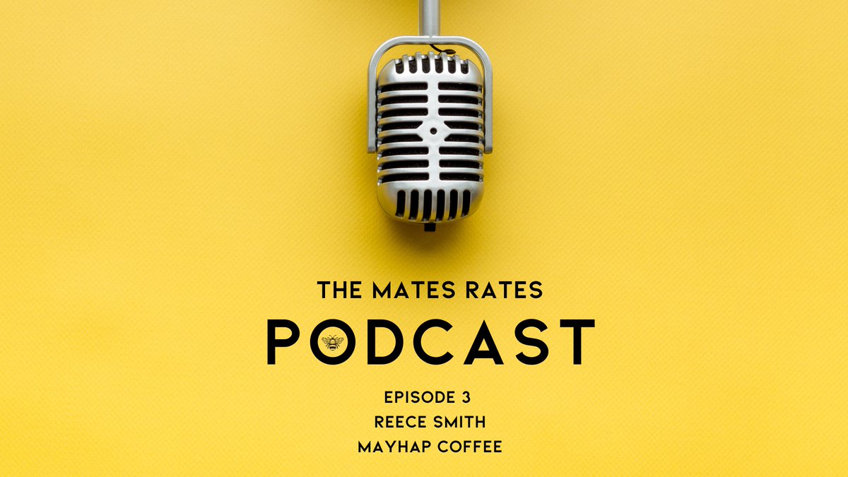 BuzzBear Design & Marketing tweet media