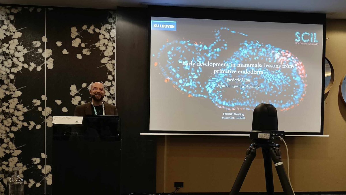 ESHRE SIG Stem Cells (@sigstemcells) on Twitter photo In part 2 of Session 2, Prof. Lluis Vinas of <a href="/lab_lluis/">LluisLab π³οΈβπ</a> outlined that mouse PE and epiblast have different needs for Wnt, with Wnt inhibition inducing PE formation. Tcf7l1 deletion results in wnt activation and impairs PE formation. Wnt is also differently regulated in humans. In part 2 of Session 2, Prof. Lluis Vinas of <a href="/lab_lluis/">LluisLab π³οΈβπ</a> outlined that mouse PE and epiblast have different needs for Wnt, with Wnt inhibition inducing PE formation. Tcf7l1 deletion results in wnt activation and impairs PE formation. Wnt is also differently regulated in humans.