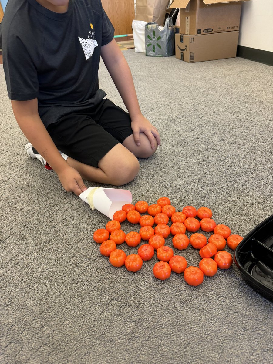 Jennifer Perrotti tweet media