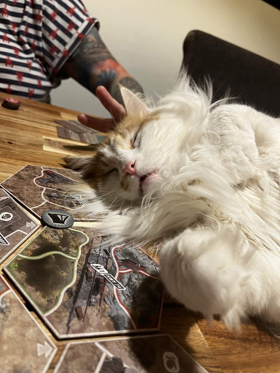 ChristineWilde's tweet photo. @TheGentlebros This is Oscar.
In his quest for treats, nothing stands in his way. He's got a lot of catitude but is very loyal to those who he trusts. As you can see from his pictures he loves gaming and he'd be a purrfect character in #CatQuestIII https://t.co/efEOOhTTEj