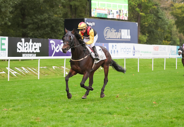 HamiltonParkRC's tweet image. 🎉 Congratulations to our 2023 CHAMPIONS 🏇

🏆 Champion Trainer - Jim Goldie Racing 
🏆 Champion Owner - Mr James Mearns Long
🏆 Champion Jockey - Andrew Mullen
🏆 Champion Apprentice Jockey - William Pyle

#hamiltonraces